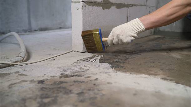 Crawl space vapor barrier installation in Elsie, MI
